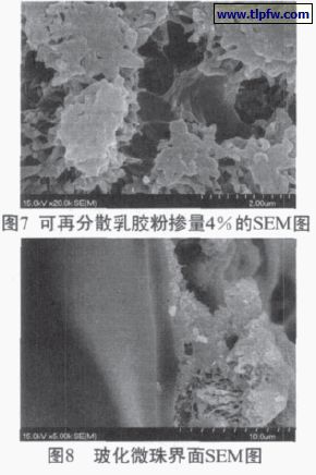 可再分散乳胶粉掺量百分之4的SEM图